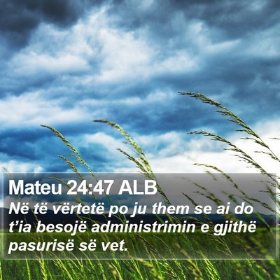 Mateu 24:47 ALB Bible Verse Image