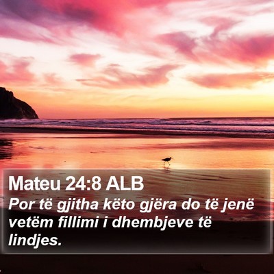 Mateu 24:8 ALB Bible Verse Image