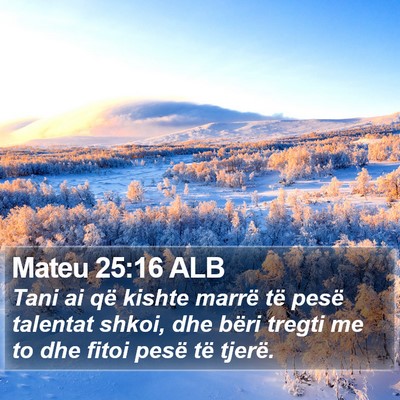 Mateu 25:16 ALB Bible Verse Image