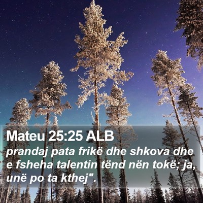Mateu 25:25 ALB Bible Verse Image