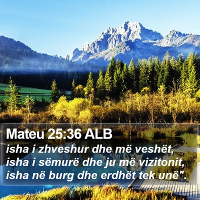 Mateu 25:36 ALB Bible Verse Image