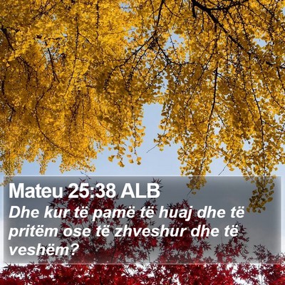 Mateu 25:38 ALB Bible Verse Image