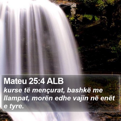 Mateu 25:4 ALB Bible Verse Image