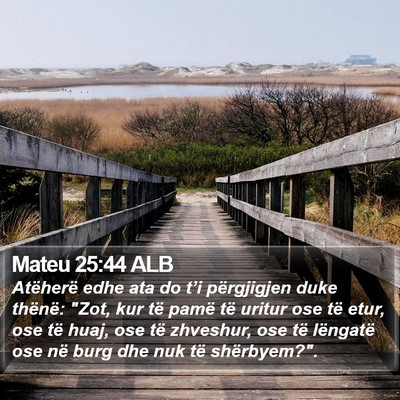 Mateu 25:44 ALB Bible Verse Image
