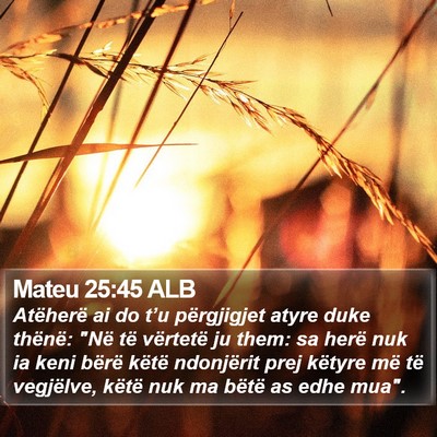 Mateu 25:45 ALB Bible Verse Image