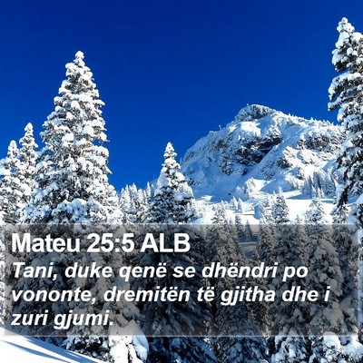 Mateu 25:5 ALB Bible Verse Image