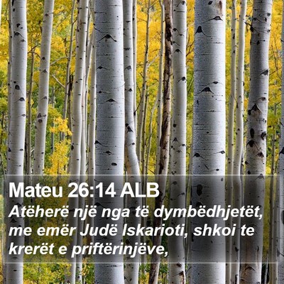 Mateu 26:14 ALB Bible Verse Image