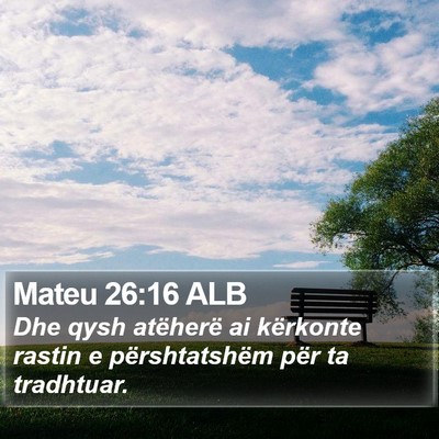 Mateu 26:16 ALB Bible Verse Image