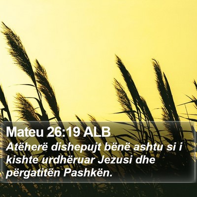 Mateu 26:19 ALB Bible Verse Image