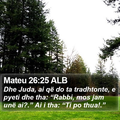Mateu 26:25 ALB Bible Verse Image