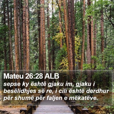Mateu 26:28 ALB Bible Verse Image