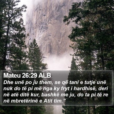 Mateu 26:29 ALB Bible Verse Image
