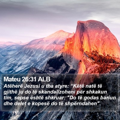 Mateu 26:31 ALB Bible Verse Image