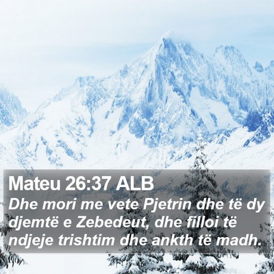 Mateu 26:37 ALB Bible Verse Image