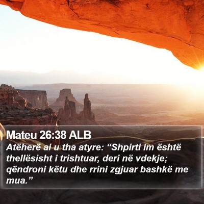Mateu 26:38 ALB Bible Verse Image