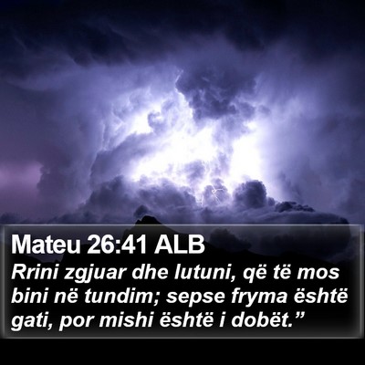 Mateu 26:41 ALB Bible Verse Image