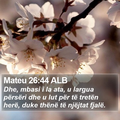 Mateu 26:44 ALB Bible Verse Image
