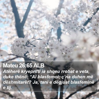 Mateu 26:65 ALB Bible Verse Image