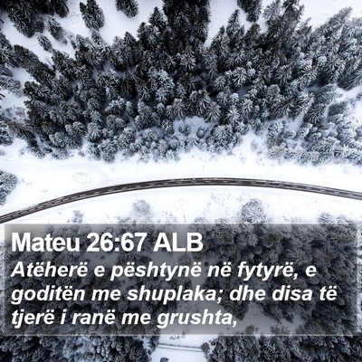 Mateu 26:67 ALB Bible Verse Image