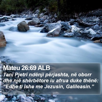 Mateu 26:69 ALB Bible Verse Image