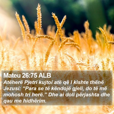 Mateu 26:75 ALB Bible Verse Image