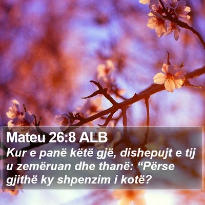 Mateu 26:8 ALB Bible Verse Image
