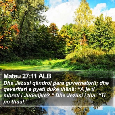 Mateu 27:11 ALB Bible Verse Image
