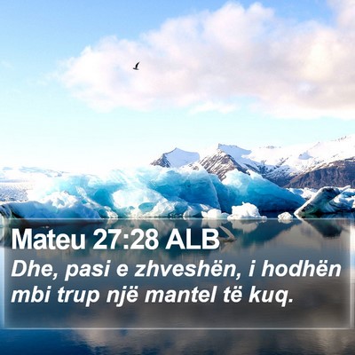 Mateu 27:28 ALB Bible Verse Image