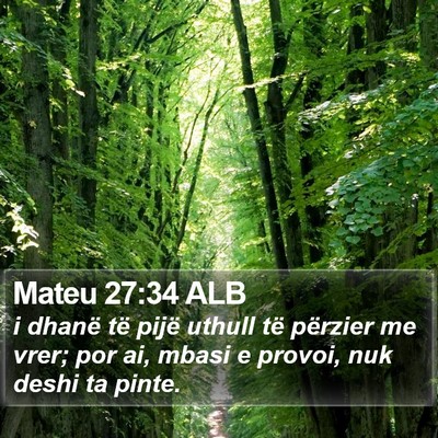 Mateu 27:34 ALB Bible Verse Image