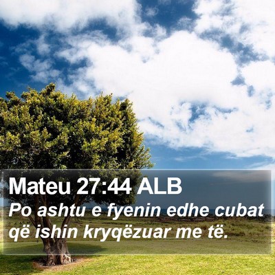 Mateu 27:44 ALB Bible Verse Image