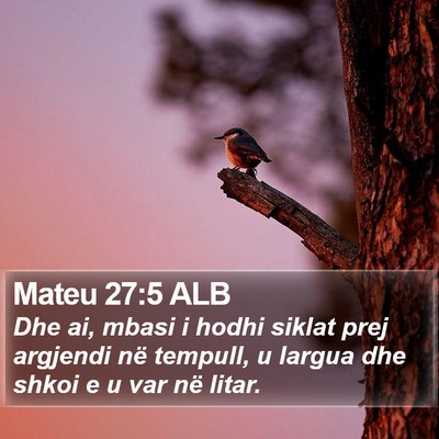 Mateu 27:5 ALB Bible Verse Image
