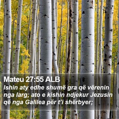Mateu 27:55 ALB Bible Verse Image