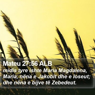 Mateu 27:56 ALB Bible Verse Image