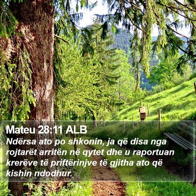 Mateu 28:11 ALB Bible Verse Image