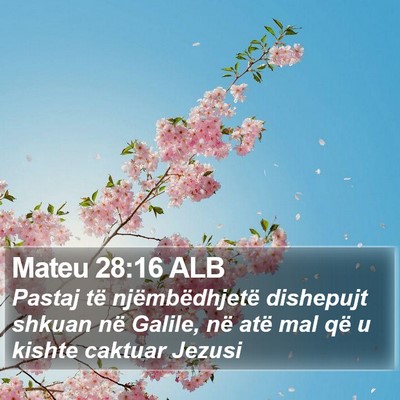 Mateu 28:16 ALB Bible Verse Image