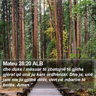 Mateu 28:20 ALB Bible Verse Image