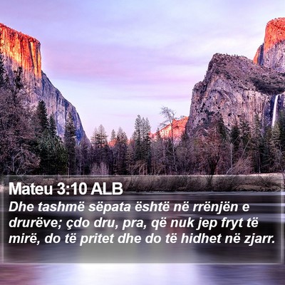 Mateu 3:10 ALB Bible Verse Image