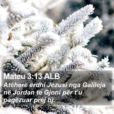 Mateu 3:13 ALB Bible Verse Image