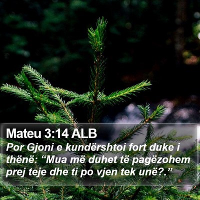 Mateu 3:14 ALB Bible Verse Image
