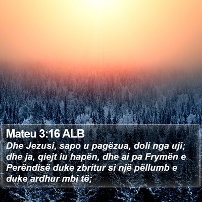 Mateu 3:16 ALB Bible Verse Image