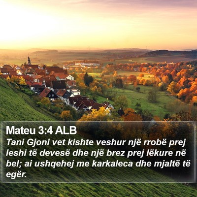 Mateu 3:4 ALB Bible Verse Image