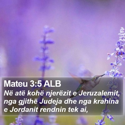 Mateu 3:5 ALB Bible Verse Image