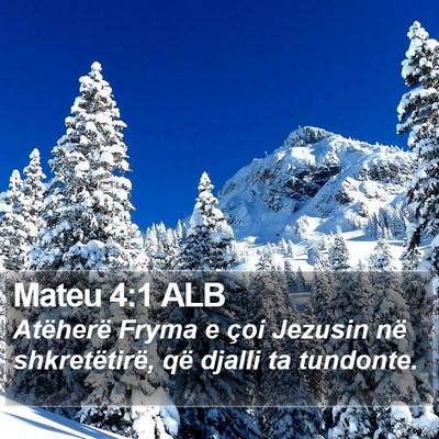 Mateu 4:1 ALB Bible Verse Image