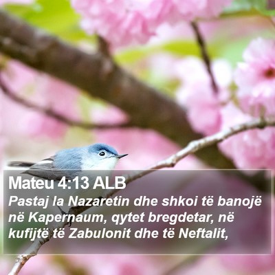 Mateu 4:13 ALB Bible Verse Image