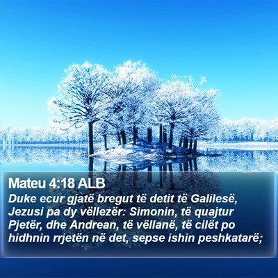 Mateu 4:18 ALB Bible Verse Image