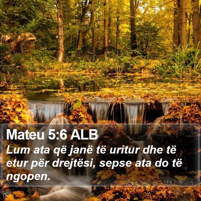 Mateu 5:6 ALB Bible Verse Image