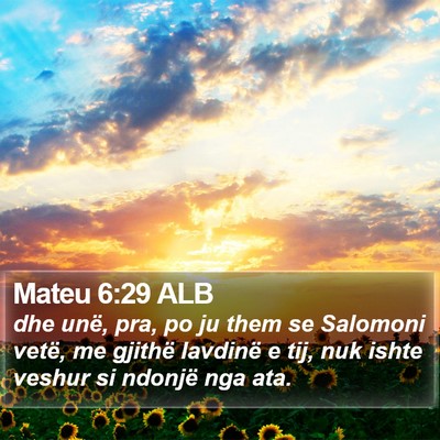 Mateu 6:29 ALB Bible Verse Image