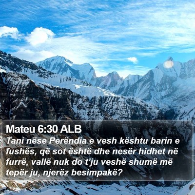 Mateu 6:30 ALB Bible Verse Image