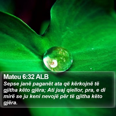 Mateu 6:32 ALB Bible Verse Image