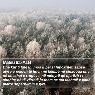 Mateu 6:5 ALB Bible Verse Image